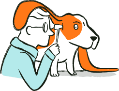 Vet examining dog's ear