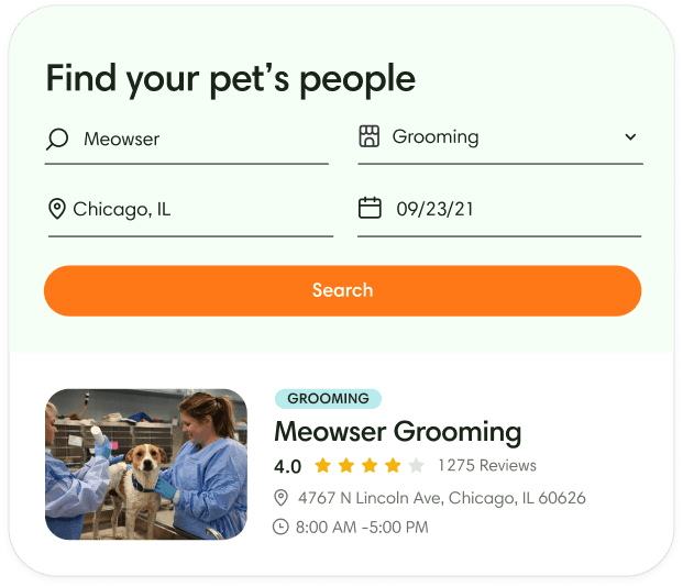 find your pet's people