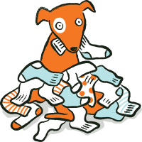 A dog misbehaving