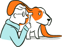 Vet examining dog's ear